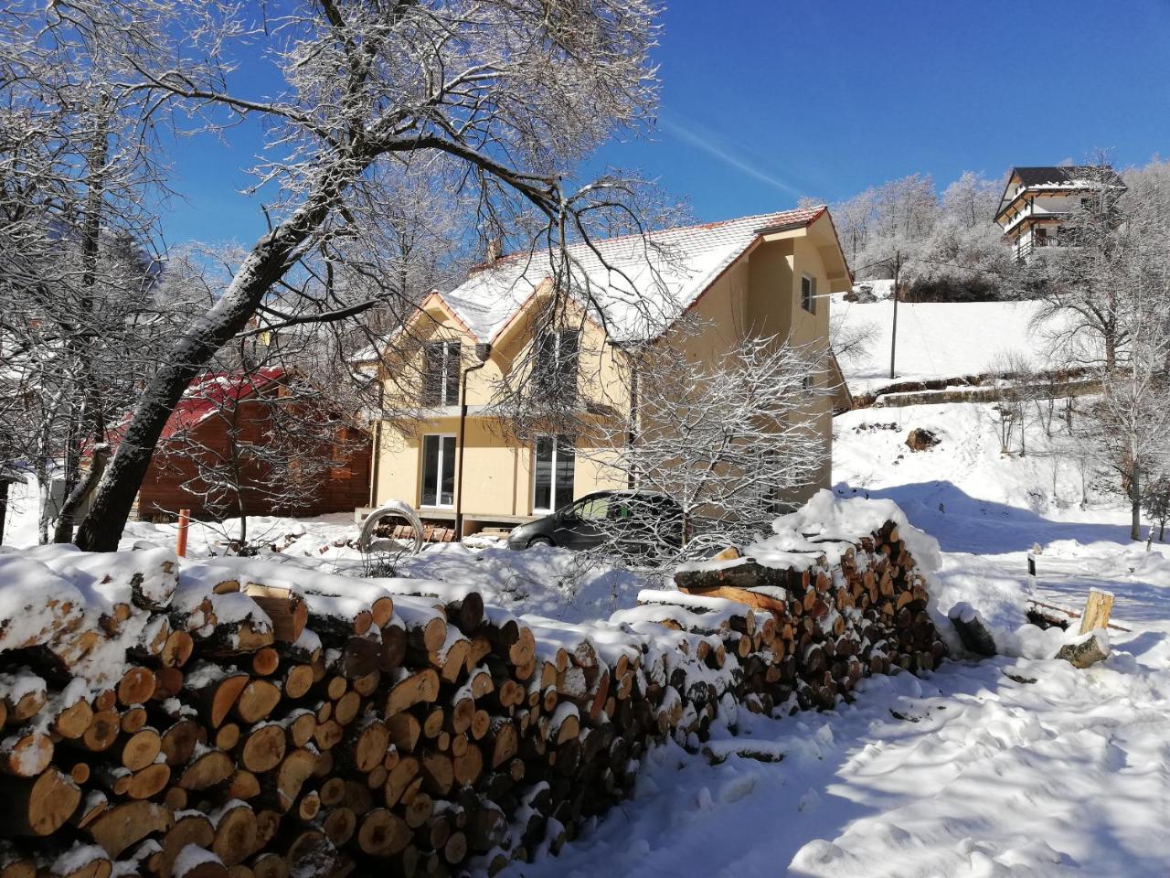 Vila Vrh Crni Vrh Bagian luar foto
