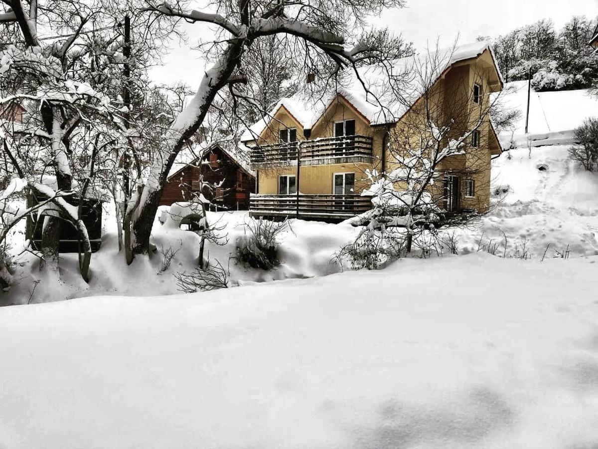Vila Vrh Crni Vrh Bagian luar foto