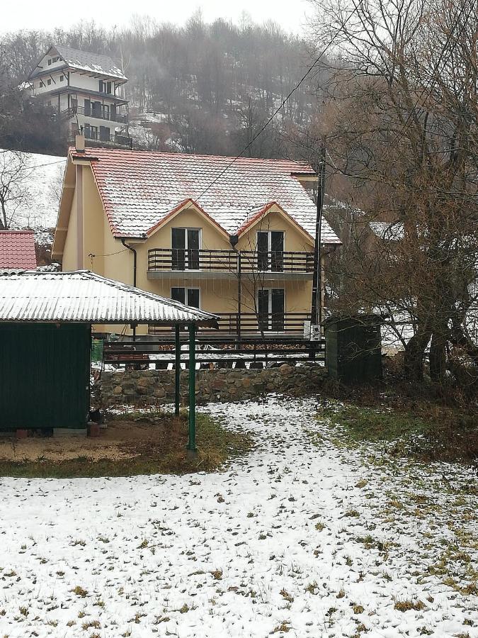 Vila Vrh Crni Vrh Bagian luar foto